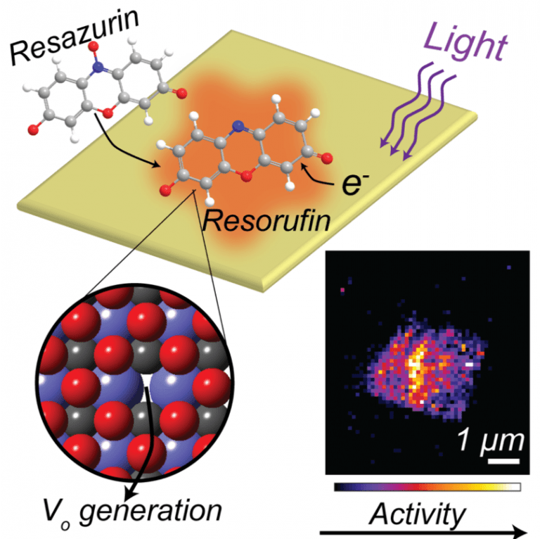 60. Workings of a Photocatalyst Revealed by Single-Molecule Fluorescence Imaging